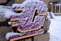 121220 snowfall CMU Campus-016