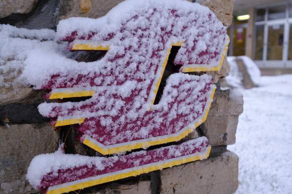 121220 snowfall CMU Campus-016