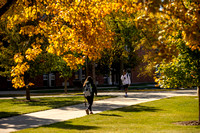 24-10-23 Campus Fall Scenics Pearce MH-2