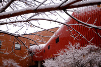 121220 snowfall CMU Campus-017