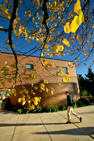 2013-785-016 Dow Science Features Fall Scenics sj