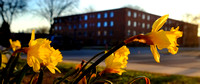 2014-361-042 Campus scenics Spring sj