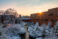 2021-228-12 Campus Snow Fall kf