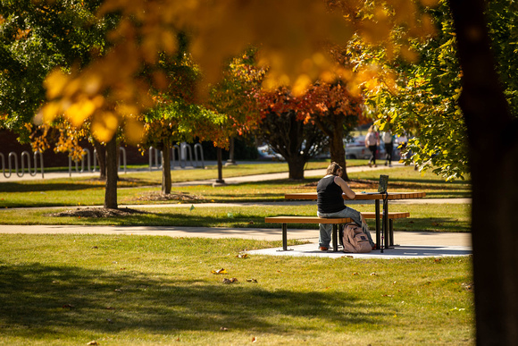 24-10-23 Campus Fall Scenics Pearce MH-1