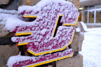 121220 snowfall CMU Campus-015