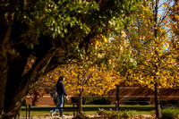 24-10-23 Campus Fall Scenics MH-2