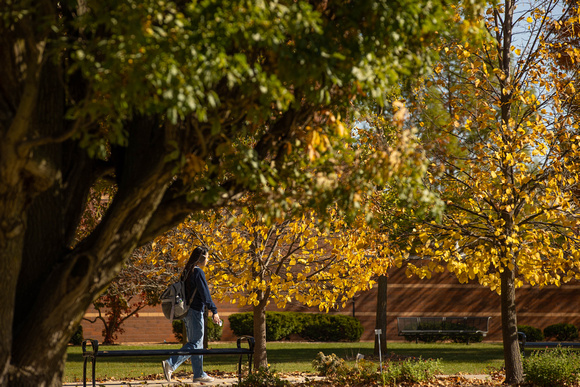 24-10-23 Campus Fall Scenics MH-2