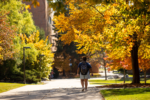 24-10-23 Campus Fall Scenics MH-3